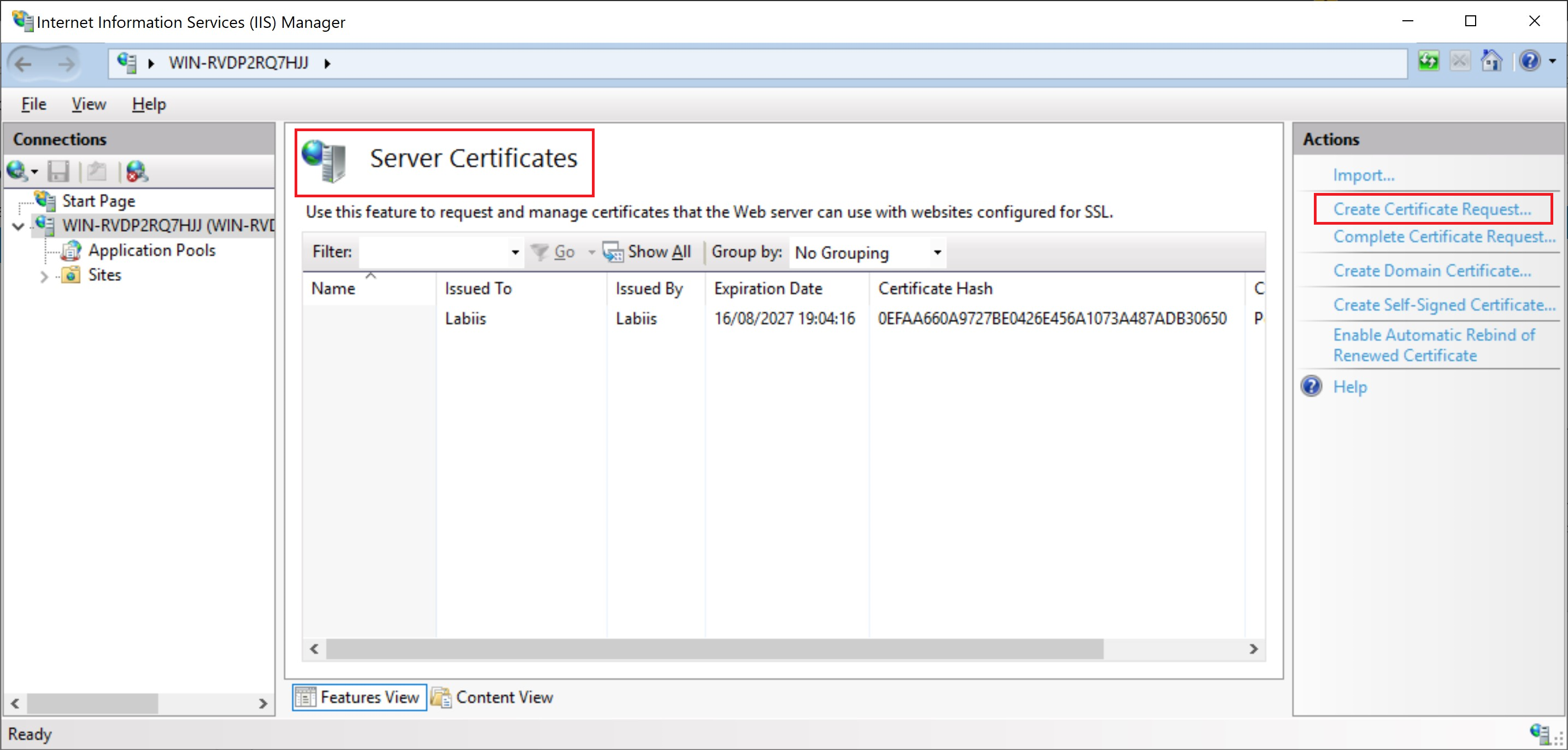 _IIS Manager_, certificate creation