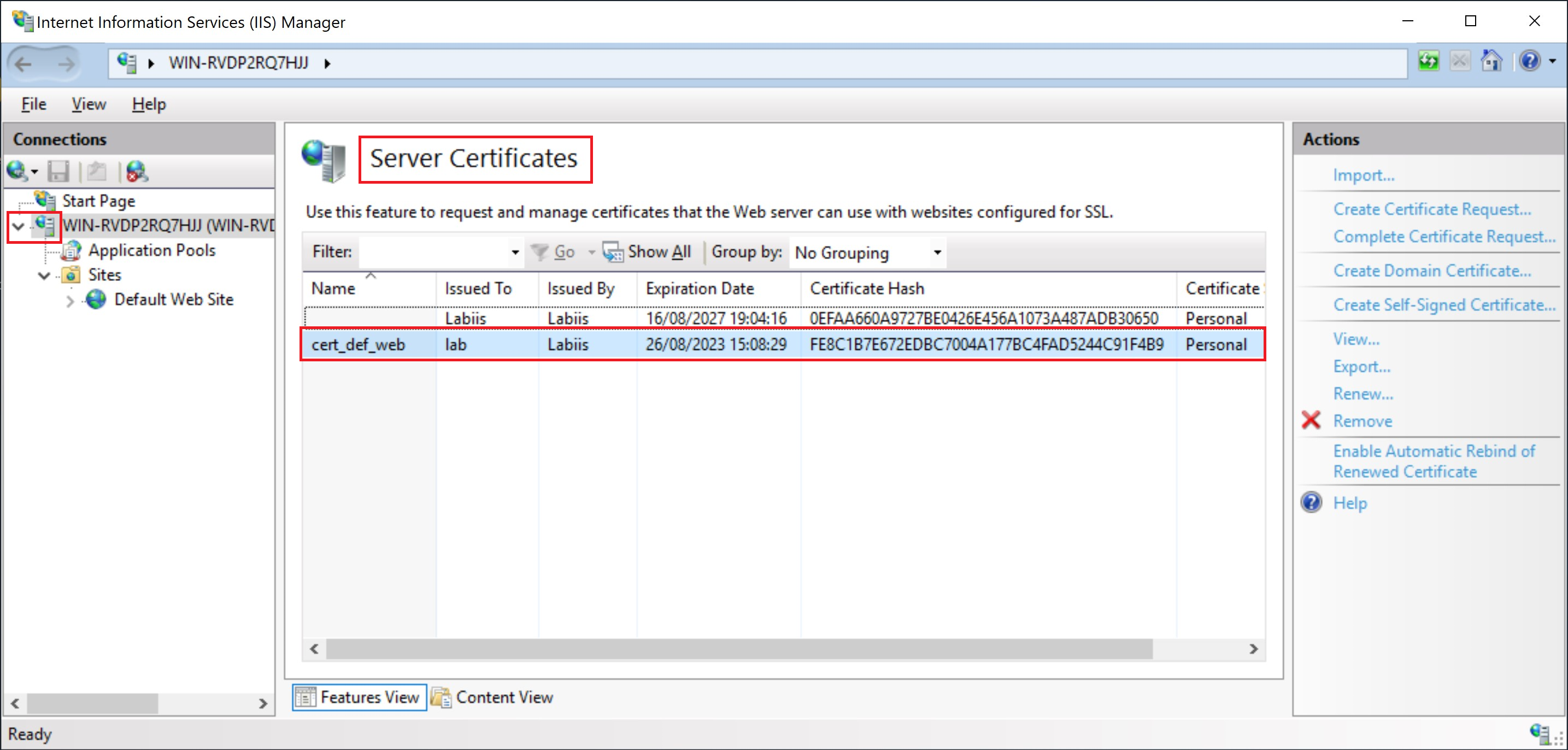 _IIS Manager_, list of SSL certificates